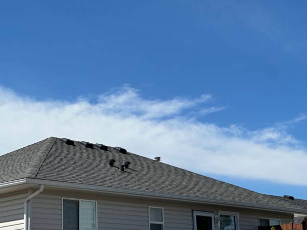 Best 4 Ply Roofing  in Hawaiian Beaches, HI